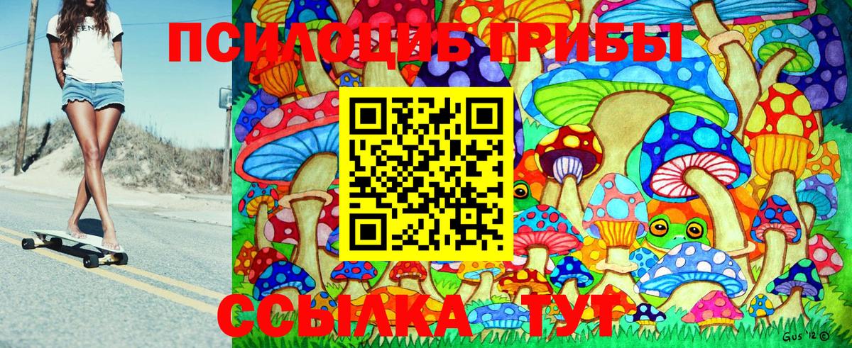 купить закладку  Псилоцибиновые грибы MAGIC MUSHROOMS  Вход с VPN  Кизилюрт 
